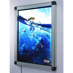 VITRINE ECLAIREE ANTARES  Vitrine d'exposition