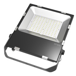Projecteur LED Série ECO Philips 100W Réf : PRE8-50E-A5100 Projecteur Extra-plat