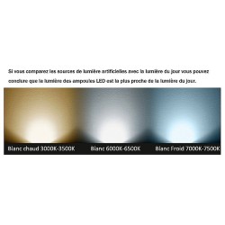 Ampoule LED E27 A60 10W BL-E27-A60-10 E27
