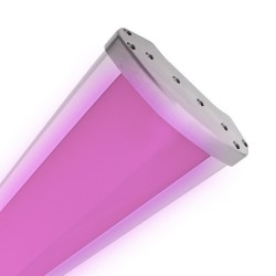 Cloche Linéaire Grow PRO CREE 160W CMPN-LNL-GRW-PRO-C160 Eclairage Grow