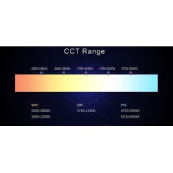 Température de couleur