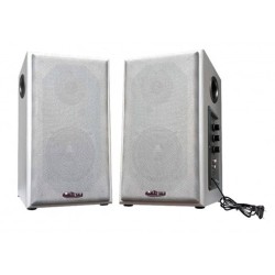 Paire d'enceinte avec support mural 2x 50W,enceinte salle de classe,education nationale,ecole enceinte,