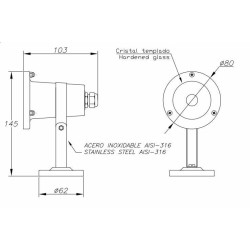 Applique LED Aqua Spotlight AISI 316 Submersible  IP68 GU5.3 35W LEDS-C4 05-9245-CA-37,PLQ-SPTLGHT-GU10-35W