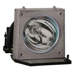 Lampe vidéoprojecteur Acer PH530,PD521,OPTOMA EP738P,EP739H,EP739 
,EP745 ,HD32 ,HD70,HD720X ,THEMESCENE H27,HD32
