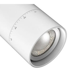 Spot LED Wild 20W CCT pour Rail Triphasé Dimmable TRIAC CRI90 No Flicker Multi angle 24-60º