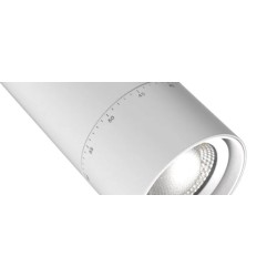 Spot LED Wild 20W CCT pour Rail Triphasé Dimmable TRIAC CRI90 No Flicker Multi angle 24-60º