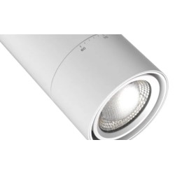 Spot LED Wild 20W CCT pour Rail Triphasé Dimmable TRIAC CRI90 No Flicker Multi angle 24-60º