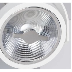 Spot LED Cree en Saillie Orientable AR111 30W Dimmable Blanc,
FLC-AR111-2X15-DIR-B, spot led double,luminaire plafond,
