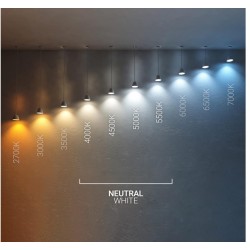 Bobine Ruban LED Dimmable , ruban ip65 , ruban led silicone ,