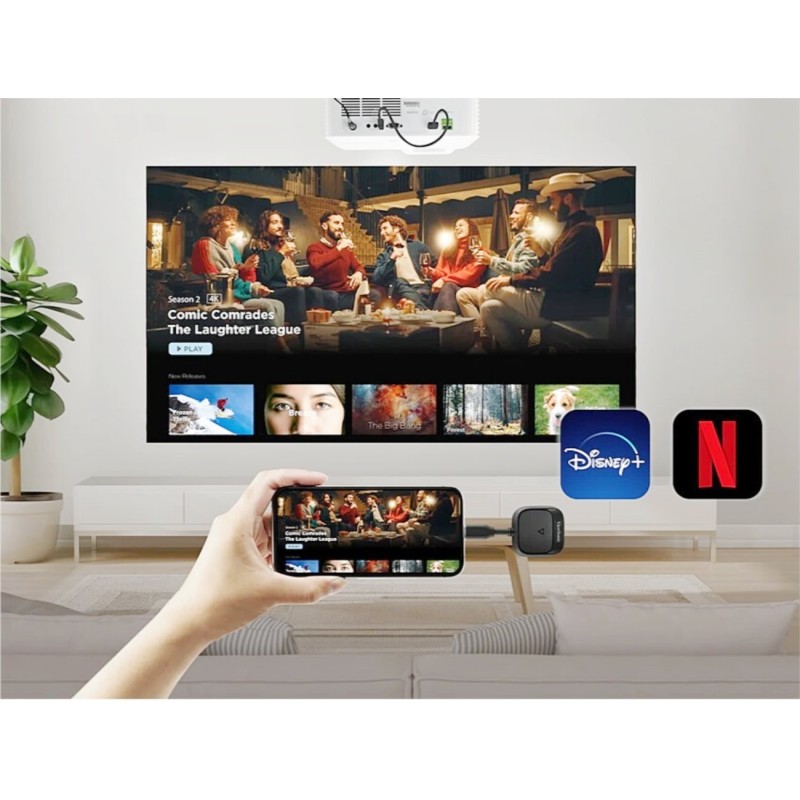 Viewsonic ViewShare WPD-900 ,Partage d'écran sans fil ,peer-to-peer ,plug and play ,Diffusion de contenus sans fil